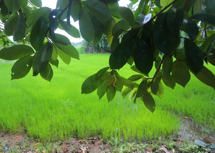 Serene Rajarata
